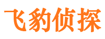 民权侦探公司